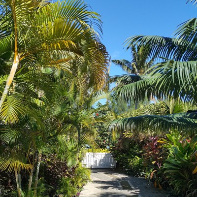 Intimate garden setting